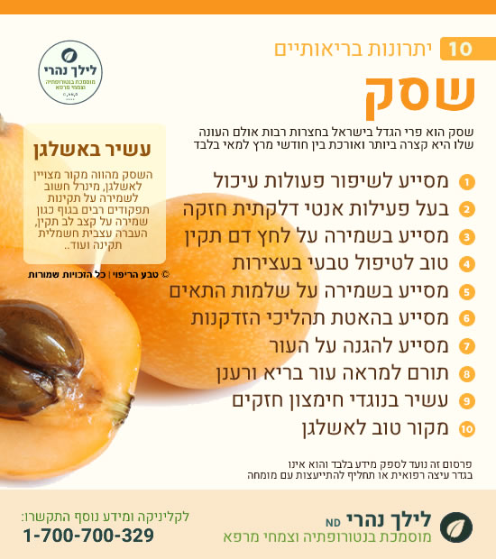 שסק • תמיכה בעיכול וכבד שומני
