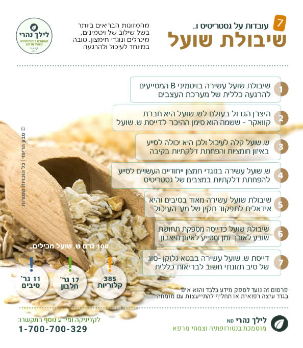 שיבולת שועל – תרומה בריאותית לטיפול בגסטריטיס