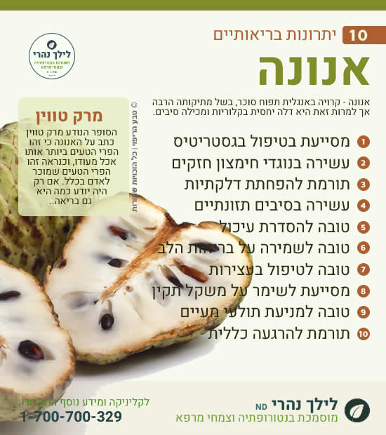 אנונה ותרומתה לטיפול בגסטריטיס ועצירות