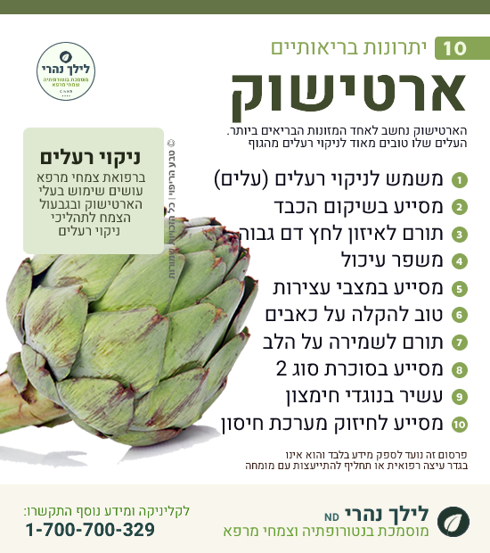 ארטישוק •  טיפול בכבד שומני