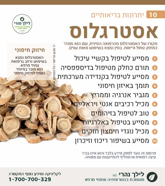אסטרגלוס - תרומה בריאותית למערכת העיכול