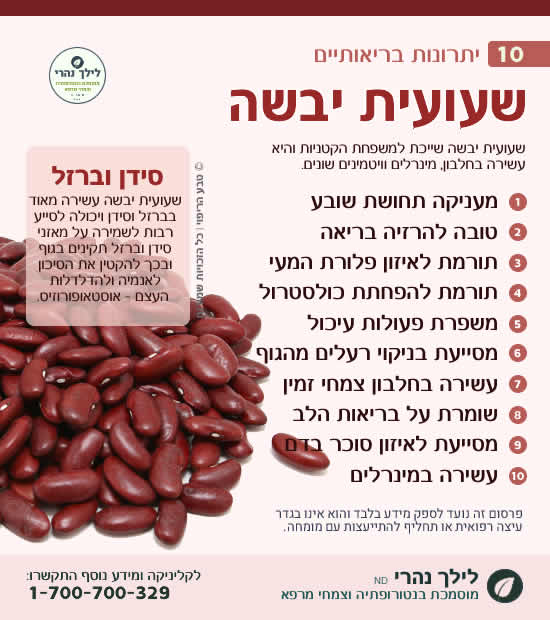שעועית יבשה - תרומה בריאותית למערכת העיכול