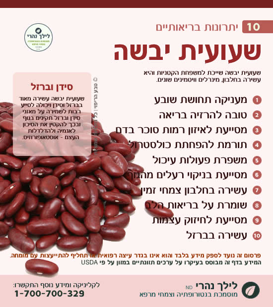 שעועית יבשה – תרומה בריאותית