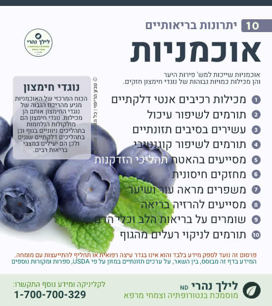 אוכמניות – תרומה בריאותית בטיפול טבעי