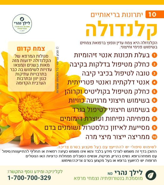 קלנדולה - צמח מרפא לטיפול באולקוס, קרוהן וקוליטיס