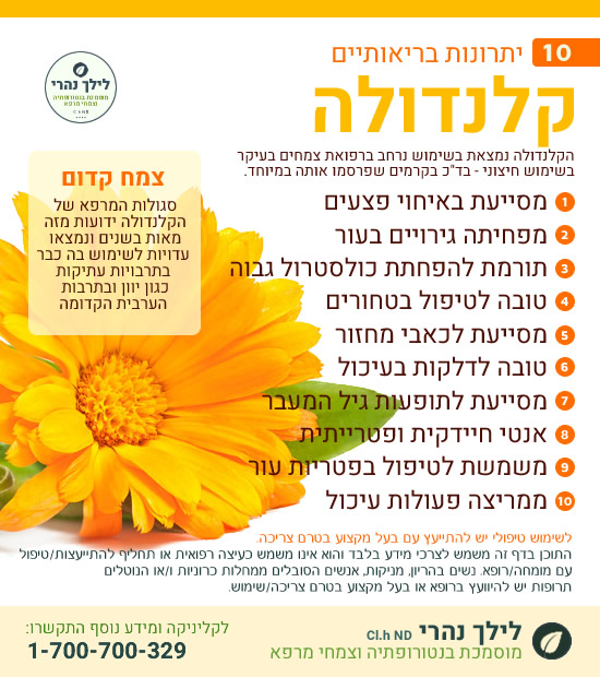 קלנדולה – 10 יתרונות בריאותיים