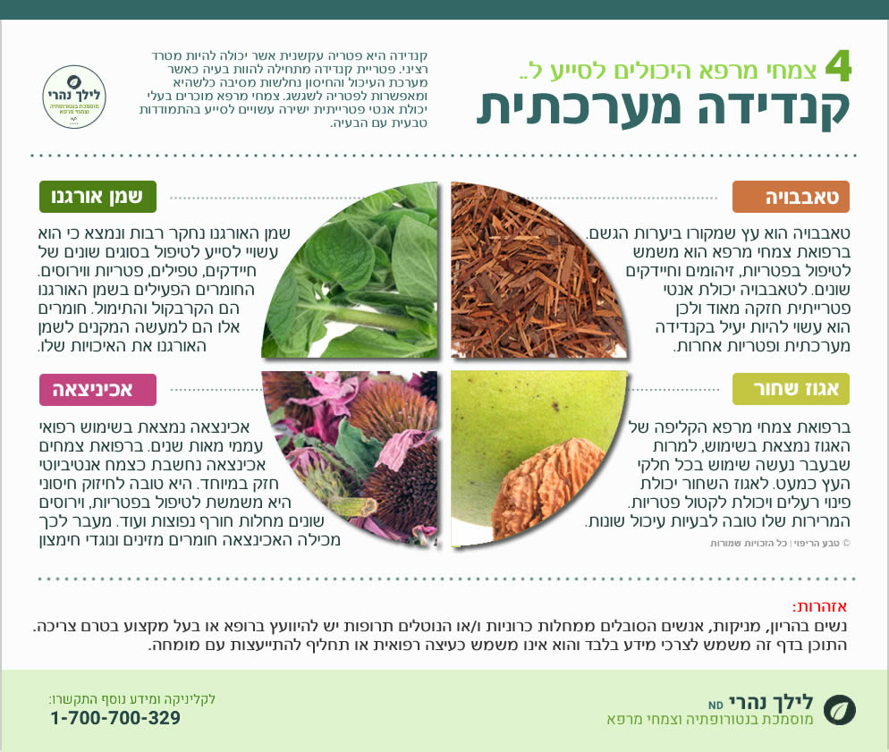 צמחי מרפא לטיפול בקנדידה