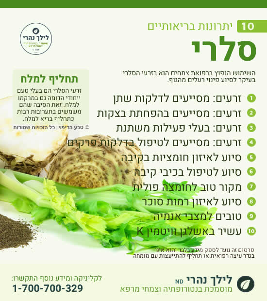 סלרי -תרומה בריאותית לאולקוס וערכים תזונתיים