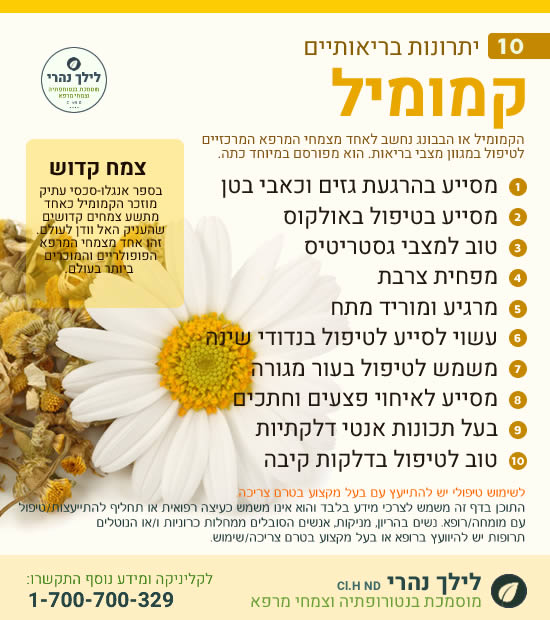 קמומיל – 10 יתרונות בריאותיים