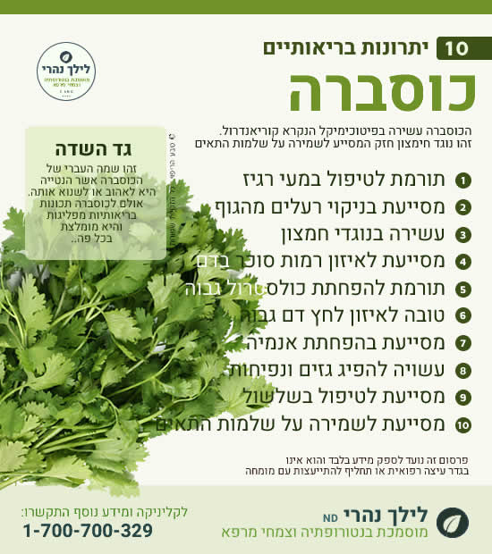 כוסברה - יתרונות ותרומה לטיפול במעי רגיז