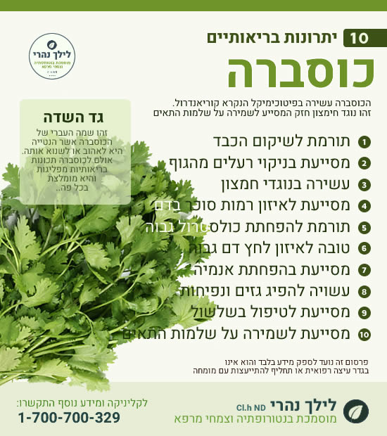 כוסברה – 10 יתרונות בריאותיים