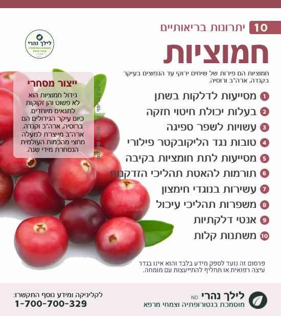 חמוציות - תרומה בריאותית לטיפול בזיהומים