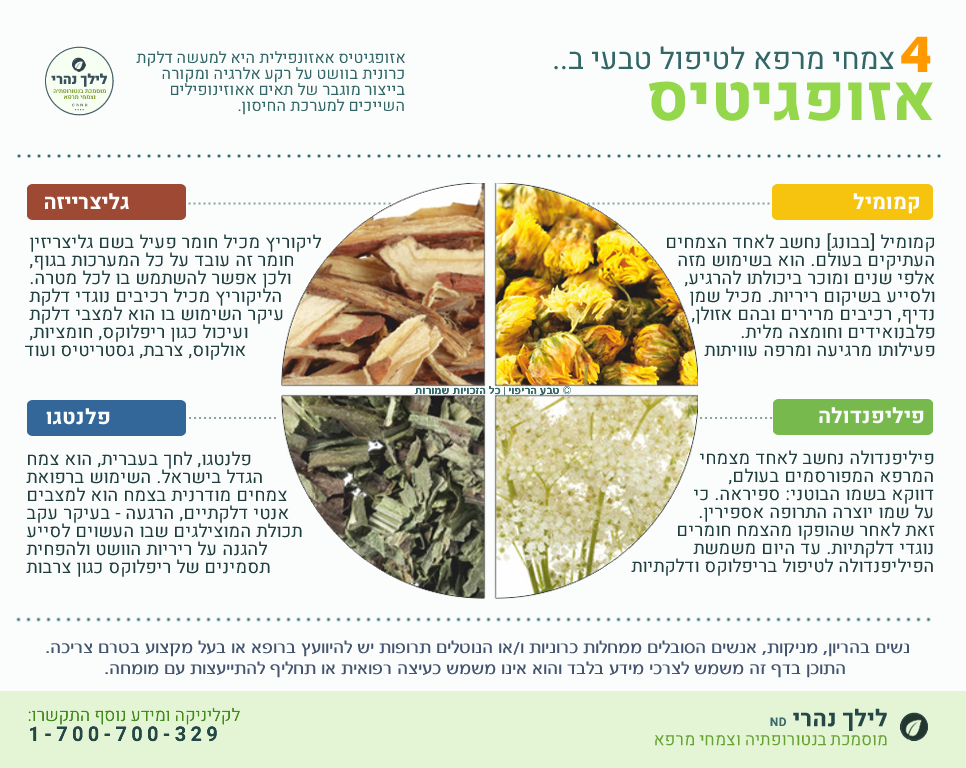 אזופגיטיס אאזונפילית טיפול טבעי