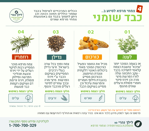 צמחי מרפא לכבד שומני