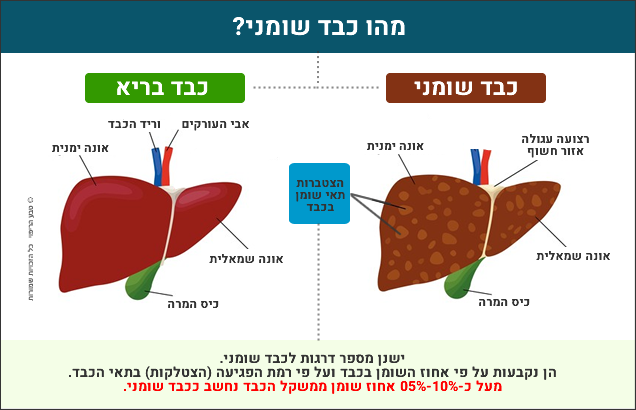 מה זה כבד שומני