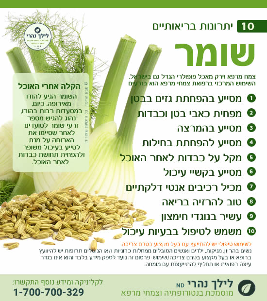 שומר – 10 יתרונות ושימושים להקלה על עיכול