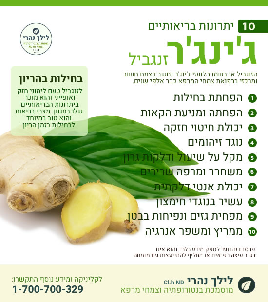 זנגביל | ג'ינג'ר | 10 יתרונות בריאותיים