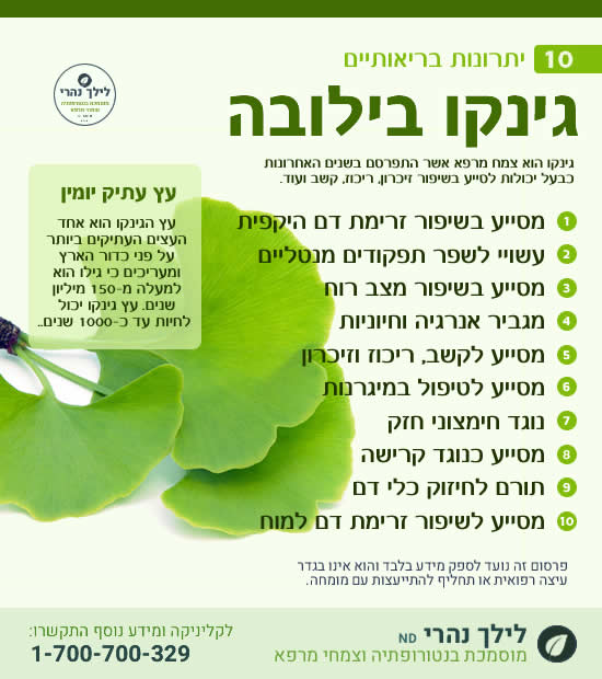 גינקו בילובה – 10 יתרונות בריאותיים