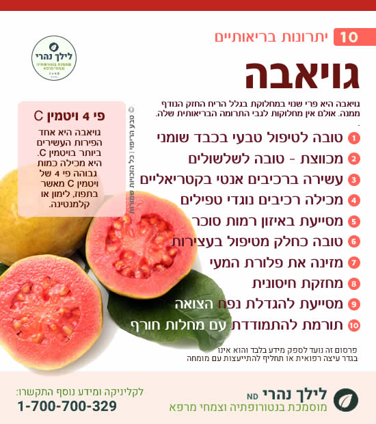 גויאבה וכיצד מסייעת לטיפול בכבד שומני ועיכול תקין