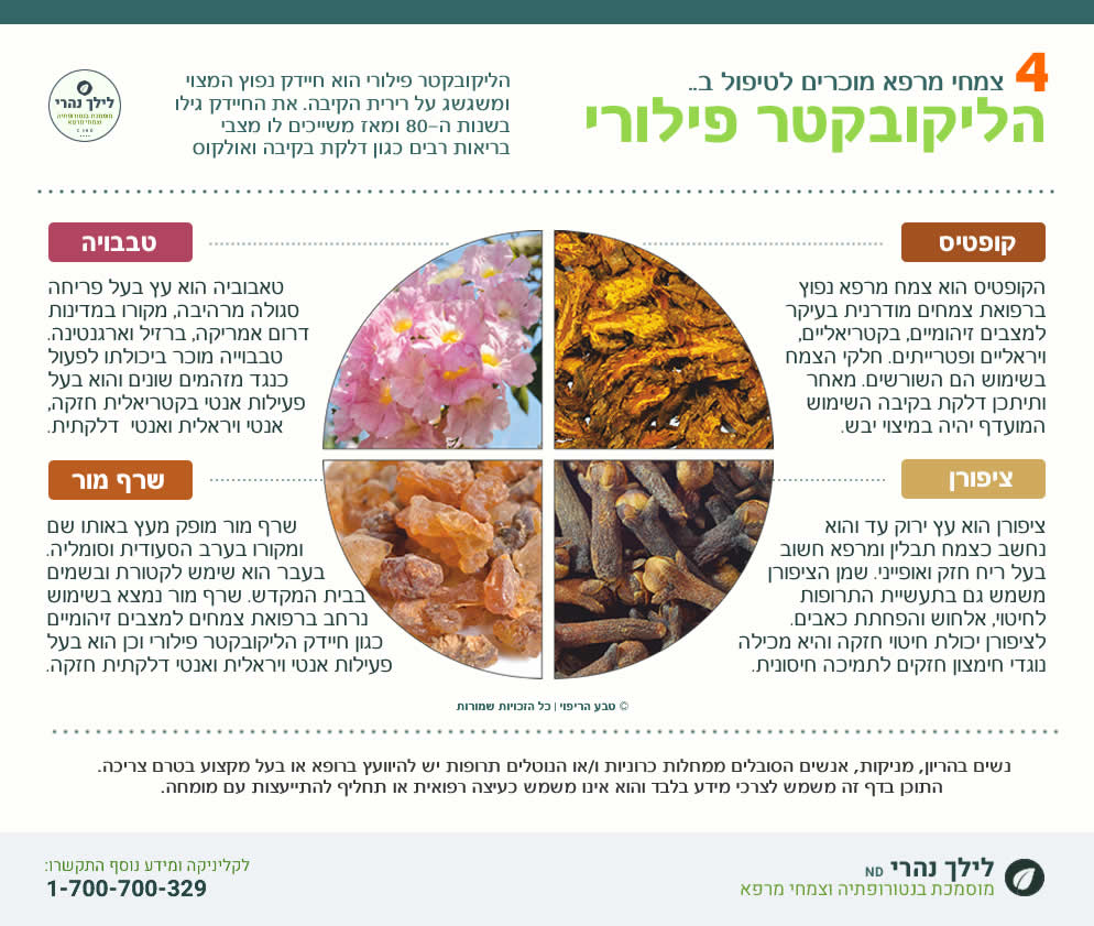 האם חיידק הליקובקטר יכול לחזור כמה פעמים?