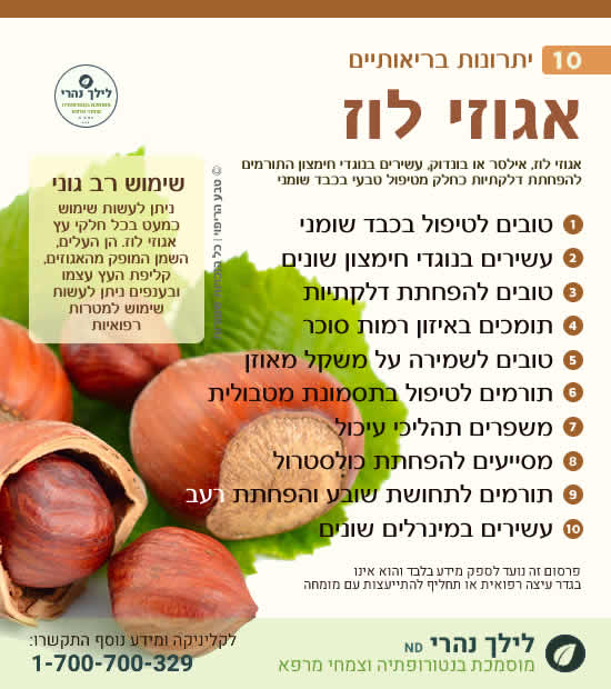 אגוזי לוז ותרומתם הבריאותית לכבד שומני ותסמונת מטבולית