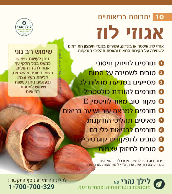אגוזי לוז • תרומה בריאותית