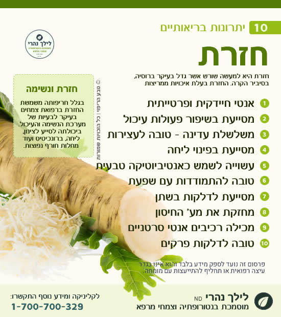 חזרת – 10 יתרונות בריאותיים