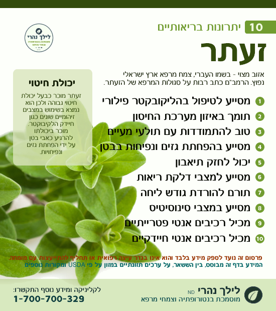 זעתר לטיפול בחיידק הליקובקטר בקיבה