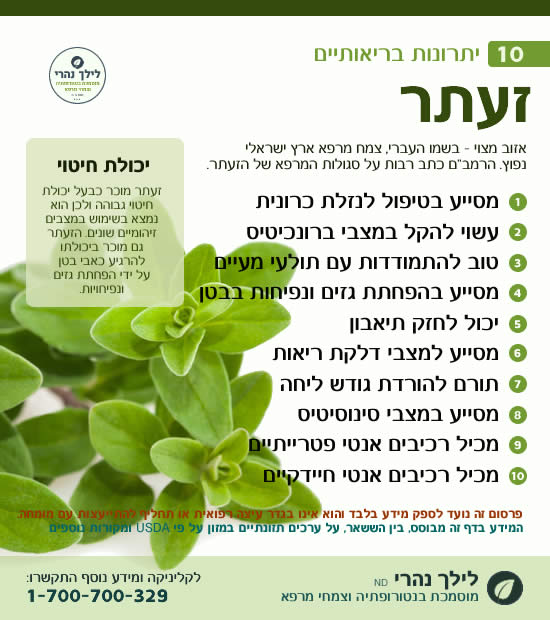 זעתר – תרומה בריאותית לטיפול בהליקובקטר