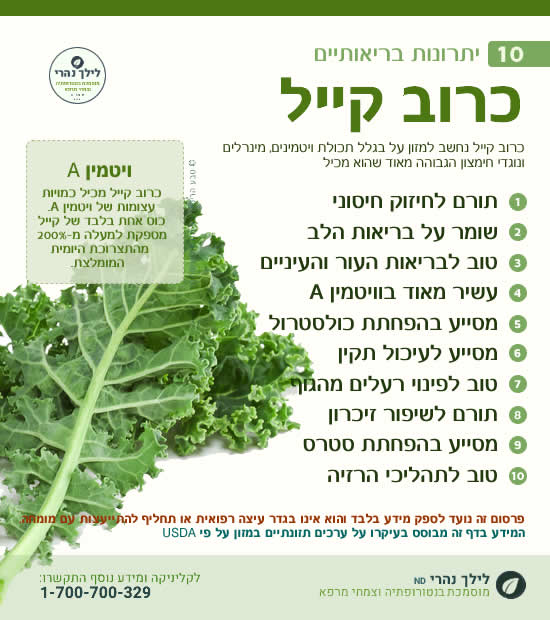 כרוב קייל – תרומה בריאותית