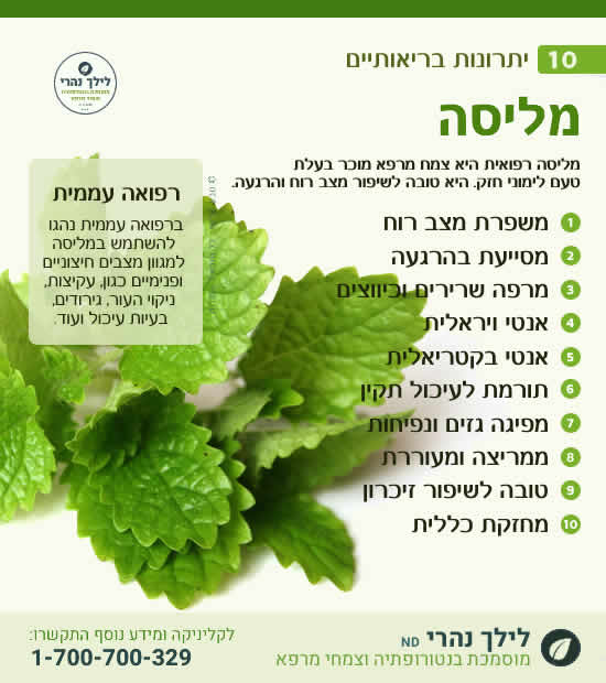 מליסה - צמח שימושי להרגעה וטיפול בבעיות עיכול