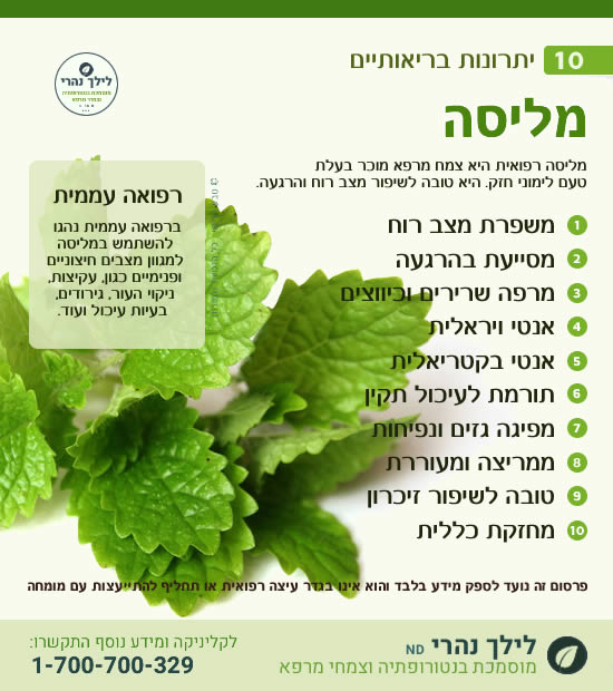 מליסה רפואית – 10 יתרונות בריאותיים