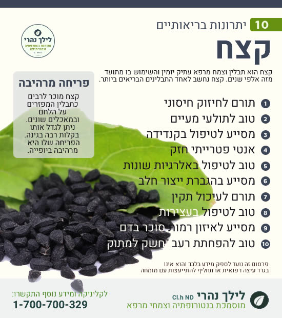 קצח – 10 יתרונות בריאותיים