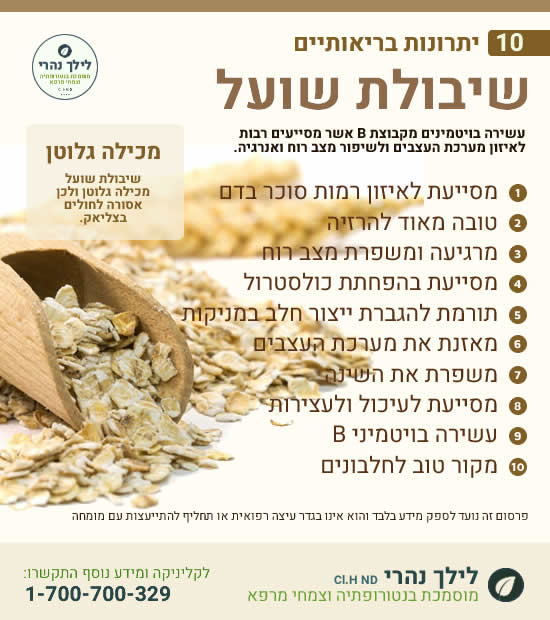 שיבולת שועל יתרונות בריאותיים