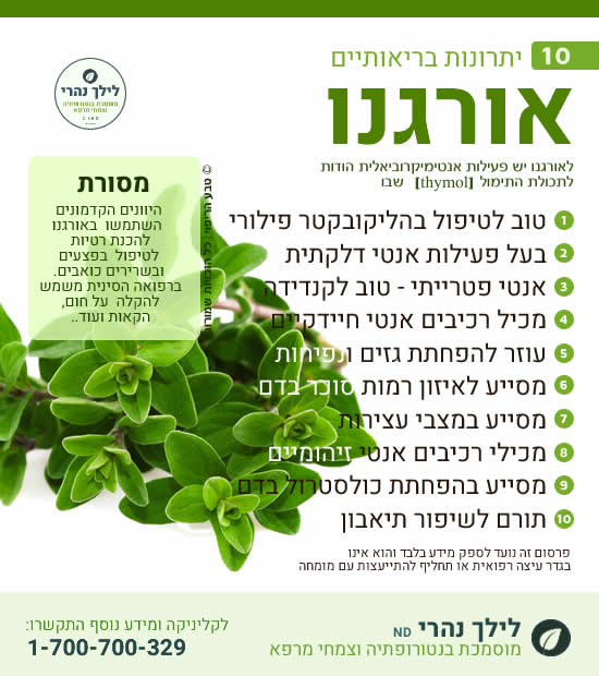 אורגנו - תרומה לטיפול בהליקובקטר ובעיות עיכול