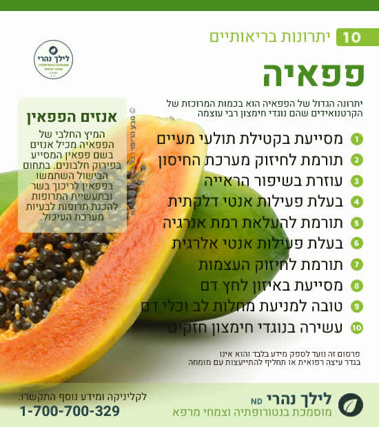 פפאיה • תרומה בריאותית למערכת העיכול