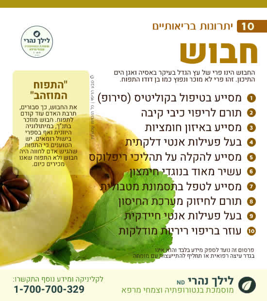 חבוש -תרומה לטיפול בקוליטיס ואולקוס