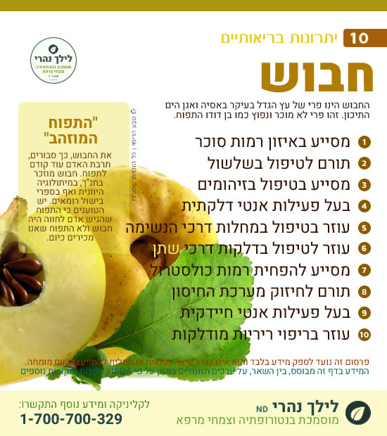 חבוש • תרומה בריאותית