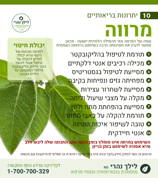 מרווה לטיפול בדלקת בקיבה והליקובקטר