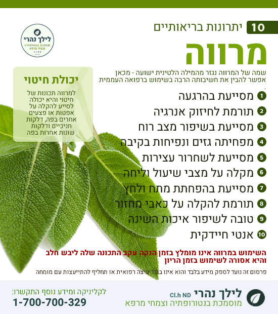 מרווה • תרומה לטיפול בגסטריטיס והליקובקטר