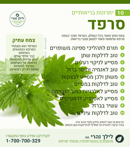סרפד -יתרונות בריאותיים