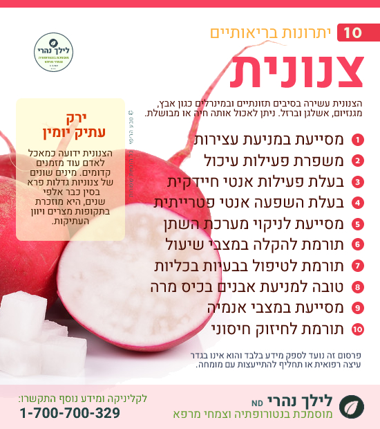 צנון • צנונית וכיצד היא מסייעת לעיכול תקין