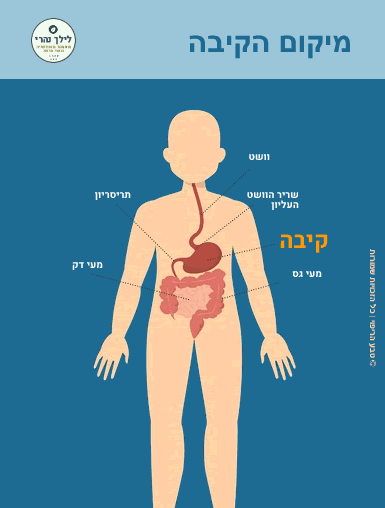 נקסיום לא עוזר  – מה התחליף הטבעי?
