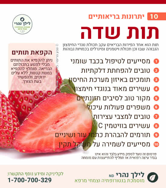 תות שדה ותרומתה לבריאות עיכול וטיפול בכבד שומני