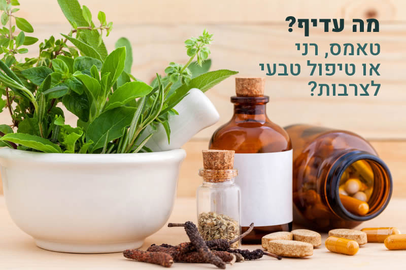 טאמס או רני, מה ההבדלים ומה עדיף