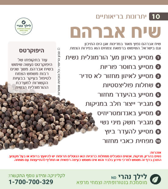 שיח אברהם – 10 יתרונות בריאותיים