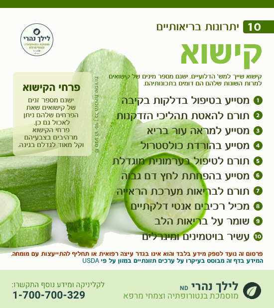 קישוא – יתרונות ותרומה לטיפול בגסטריטיס